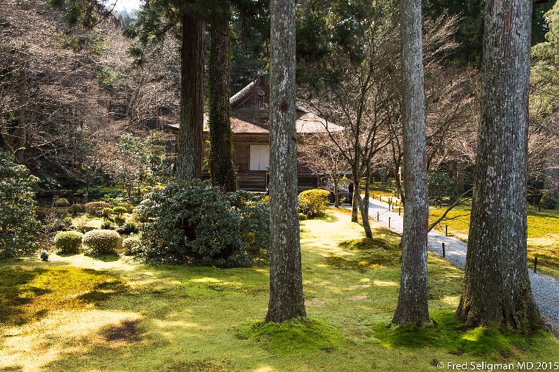 20150313_113433 D4S.jpg - Sanzen-in Temple, Kyoto Prefecture.